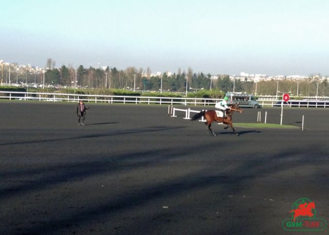 Fil d infos Le quinté aura lieu à Vincennes le jeudi 30 novembre 2023