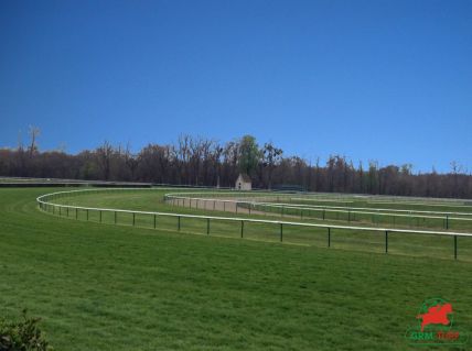 Quinté à Chantilly