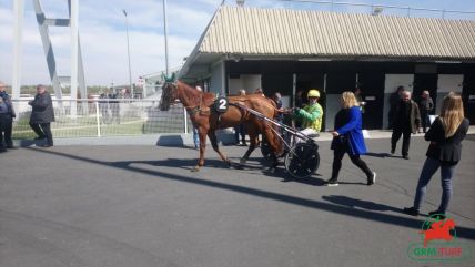 Quinté de Vincennes