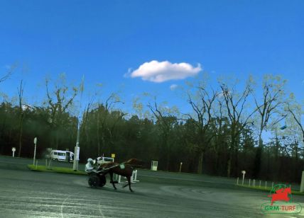 Quinté de Vincennes