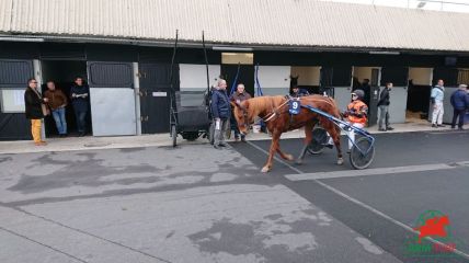 Quinté de Vincennes