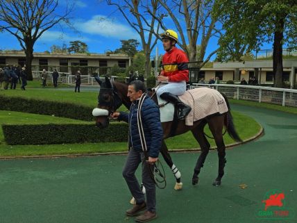 Quinté à Auteuil