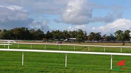 Calendrier des courses octobre