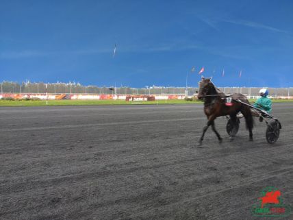 Quinté de Vincennes