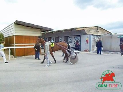 Quinté de trot